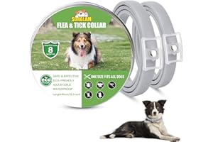 SURGLAM Dogs Flea and Tick Collar, 8 Months Protection Natural Flea Treatment for Dogs, Adjustable Flea and Tick Control for Puppy Dogs…