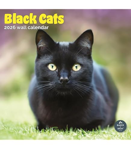 Calendario 2026 Da Parete Con Gatto Nero - Formato A4, Mensile, Con Festività E Spazio Per Appunti