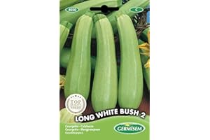 Germisem Zucchini WITHE BUSH 2, mehrfarbig, EC4020