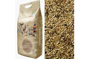 Faunamix Alimento Especial pájaros exóticos (5 kg.)