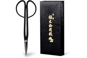 Wazakura Japan Tijeras de Podar Bonsái Twig - Acero al Carbón (180 mm), Herramienta de Jardinería Japonesa, Hecha en Japón