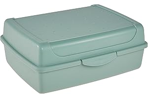 keeeper Boîte Fraîcheur avec Fermeture à Clic, 17 x 13 x 7 cm, 1 l, Luca Midi, Nordic Green