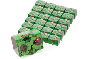 Bull & Bear 25er Set Mini-Pflanzset Glücksklee, Kleezwiebeln im Topf 4,5cm, vierblättrige Kleeblätter als Anzuchtset mit Pflegeanleitung