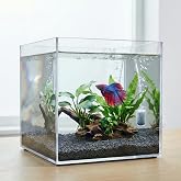 Melkan Home Premium Kristal K&uuml;p Nano Akvaryum & Beta Fanusu 20X20X20 cm 7 Litre - Karides ve Balık Akvaryumu