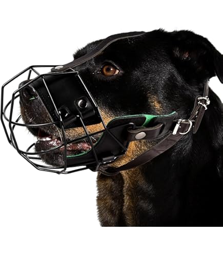 Museruola Per Cani ILEPARK A Rete Morbida – Regolabile, Traspirante, Anti-Morso, Con Cinturino Riflettente, Taglia M (Nero)