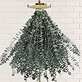 41 PCS Dried Preserved Eucalyptus Bundle for Shower-17'' Real Large Dried Eucalyptus Stems Shower Plants for Shower Hanging, Fresh Eucalyptus Leaves, Fragrance, Bathroom Vase Decor