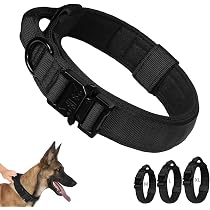 Hundehalsband Mit Blumenbindung – Verstellbar Für Kleine & Große Hunde