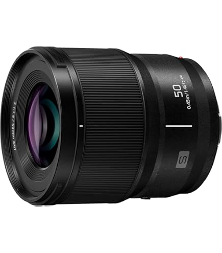 【美品】Panasonic Lumix S 24-105mm S-R24105 Panasonic SR24105 24-105mm f/4-22 Standard-Zoom Lens Fixed