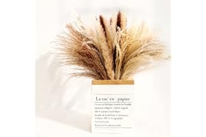 HILEYU 65 pezzi Set di piante per erba di Pampa,40-45 cm Fiore di erba di pampa essiccato naturale fiori secchi decorativi Decorazione di erba di canna di erba secca per matrimoni,feste,decorazioni Boho