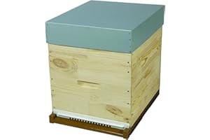 CÔTÉ RUCHE Ruche DADANT 10 Cadres avec Hausse Fond nicot Toit en tôle