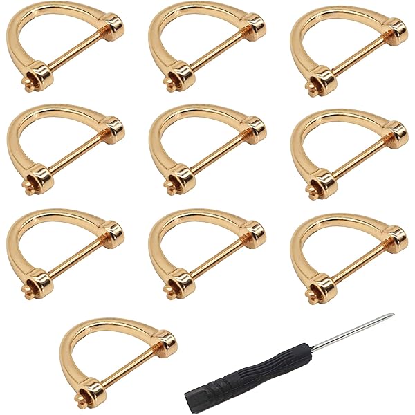 Kit 18 Pezzi Accessori Per Borse Fai Da Te - Anelli A D, Fibbie E Moschettoni Girevoli In Metallo - Foto 6