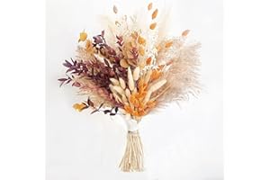 Focenat 64 Piezas Pampas Secas Decoracion Ramos de Flores Secas Naturales Hierba de Pampa Esponjosas Grandes Flores Secas Decoracion para Arreglos Florales de Boho Fiestas Bodas Salón Dormitorio Deco