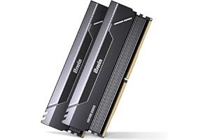 Biwin Black Opal HX100 Mémoire RAM DDR5 32 Go (2 x 16 Go) 6000 MHz CL30 pour Ordinateur Portable XMP 3.0 AMD Expo Compatible Intel XMP Noir