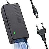 Caricatore Monopattino Elettrico 42V 2A, Carica Batteria Monopattino Elettrico per Batteria al Litio da 36V, Caricatore Unive