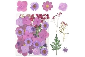 Cleminsta Fiori Pressati Secchi Multicolori, Veri Fiori Secchi per Candele e Decorazioni, Fiore Secco Compresso Naturale per Bellezza Creativa, Progetti Artistici, Scrapbooking, Resina (Viola)