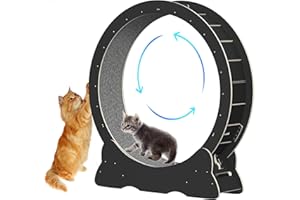 IGTOPS Roue d'exercice pour chat Diamètre intérieur : 100 cm Jouet super silencieux Taille XL