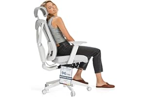 Desktronic Fotel Ergonomiczny Biurkowy | Fotel z regulacją wysokości, wsparciem lędźwi, ochroną pleców oraz szerokim, komfortowym siedziskiem SitPro – idealny do biura (Szary)