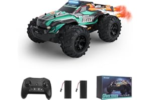Rhybor Coche Teledirigido 20 Km/h Coche RC Car 1:18 Monster Truck Teledirigido con RGB Luces LED Spray Mist 2.4 GHz Coche Radiocontrol Coches Teledirigidos para niños 3 4 5 6 7 8 años