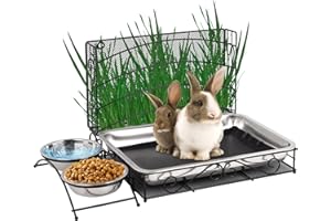 Svauoumu Mangeoire à Foin Pour Lapin, Mangeoire à Foin Pour Lapin 3-en-1 Avec Tapis ImperméAble et Bol D'Eau Pour Petits Animaux, Lapins, Hamsters, Distributeur de Nourriture