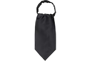 WANYING Uomo Cravatta Ascot, Fazzoletto da Collo, Retrò Chic per Signore - Paisley | A Pois | Floreale