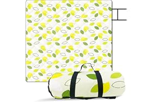 Kyzuzia 200 x 200 cm, coperta da picnic, pieghevole, ideale per parchi in spiaggia, questo colore è popolare tra i ragazzi ed è la scelta migliore per lei, grande, pieghevole, portatile