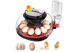 SUBOSI Couveuse Oeuf Automatique, Incubateur Automatique 12 Oeufs, avec Système de Retournement Automatique et Contrôle de la Température,Affichage de l'humidité, pour Éclosion d'Œufs de Poule Canard Caille