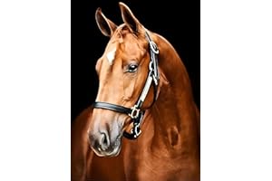 MXJSUA 5D Diamond Painting Kit Completo Cavallo Diamond Painting Cavallo Pittura Diamante 5D Kit Diamond Painting Cavallo Ricamo Strass Punto Croce Kit per Pittura a Mosaico 5D Cavallo Marrone 30X40cm