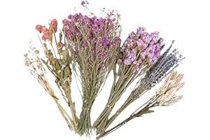 Gwtdtoad Hamster Heublumen Einstreu Natürlich Getrocknete Blumen Und Pflanzen Hamster Einstreu, Geblümtes Hamsterkäfig Zubehör Für Sommer Desodorierungs Und Landschafts Zubehör 25 cm