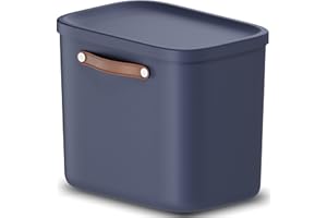 Rotho Maloja Storage Box 25 L, Plastic, Blue, 25 (39.5 x 26.5 x 34.0 cm)