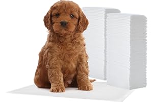 Iris Ohyama, Podkładki dla szczeniąt/treningowe, z 5 warstwami szczelnej ochrony, super chłonne jednorazowe maty toaletowe dla zwierząt, dla psów i szczeniąt max 10kg - Pet Pad NS-100R, Biały