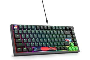 SbocKeeb Tastiera meccanica con guarnizione al 75%, tastiera RGB meccanica cablata personalizzata TKL al 75% sostituibile a caldo con cuscinetti fonoassorbenti, QWERTY americana programmabile
