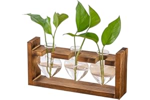 Naapesi Estación de propagación para plantas, soporte de madera vintage con jarrones de vidrio en forma de corazón, tarros de terrario hidropónicos de escritorio para flores de interior, esquejes de