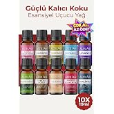 AURAN Favori 10'lu Set Esansiyel U&ccedil;ucu Yağ Buhurdanlık Yağı Hava Nemlendirici Aroma Dif&uuml;z&ouml;r&uuml; Kokusu Esans