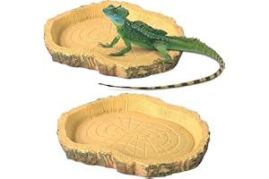 jushion LandschildkröTen ZubehöR,2 Stücke Reptilien Wasserschale, Futterschale,Terrarium Trinkschale für Hamster,Geckos, Vogelspinnen, Bartagamen, Schildkröten, Landschildkröten
