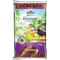 Dehner Natura Wildvogelfutter, Rosinen, 5 kg