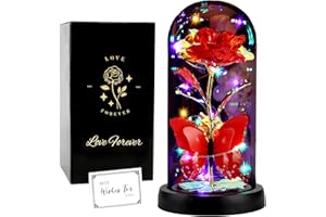 FAYODO Die Schöne und das Biest Ewige Rose, Galaxy Rose Geschenk für Freundin, Rose in Einer Glaskuppel mit LED-Licht, Geschenk für Mama (Rot)