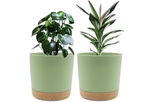 QCQHDU 20cm Plant Pot, 2 Pack Planters for Indoor Plants with Drainage Holes & Saucer, Outdoor Flower Pots Home Garden Modern Decor (Green, 20cm)