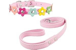 Newtensina Stylish Dog Collar and Lead Set Dog Collar Girl Flower Puppy Collars Leashes for Small Dogs with Flower - Pink - M