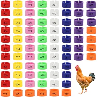50 Stück KEQAR Geflügel Fußringe – Nummeriert 1-10, 5 Farben, 20 Mm, Für Hühner, Enten, Gänse