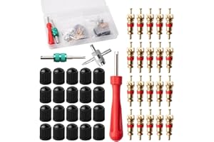 ZYDYRX 44 Pezzi Set Strumenti per Riparazione delle Valvole Chiave per Nucleo Valvola Testa Doppia e Singola Nuclei Valvola Rame Tappi Valvola Plastica Nera Strumenti Valvole Pneumatici