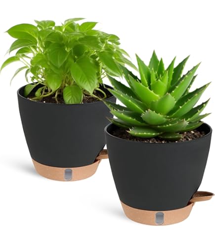 SUN-E Zelfbewaterende plantenbakken, plantenpot, kwekerij, plantenpot voor alle kamerplanten, groene plastic bloempotten met drainagegat, cadeau-idee voor woondecoratie, 7 stuks/set SUN-E Zelfbewaterende plantenbakken, plantenpot, kwekerij, plantenpot voor alle kamerplanten, groene plastic bloempotten met drainagegat, cadeau-idee voor woondecoratie, 7 stuks/set
