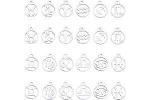 SUNNYCLUE 1 Boîte 24Pcs en Acier Inoxydable Plat Rond 12 Constellation Signes du Zodiaque Charms 316L Charms en Acier Inoxydable pour Faire des Bracelets Colliers Boucles d'oreilles Accessoires