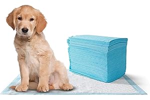 MISTER ZOO – Empapadores para Perros con Superficie de Secado rápido, Almohadillas absorbentes para adiestramiento de Mascotas y Cachorros a Prueba de Fugas. Tamaño L (60 x 60 cm)