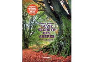 La vie secrète des arbres - Edition illustrée: Ce qu'ils ressentent, comment ils communiquent, un monde inconnu s'ouvre à nous