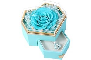 PatNlevs Ewige Rose Geschenkbox mit Kette, Geschenke für Frauen, Geburtstagsgeschenke für Grauen, Geschenk Freundin, Geburtstagsgeschenk für Mama, Schwester, Freundin