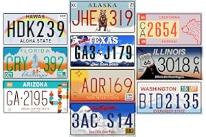 OPO 10 - Lotto di 10 TARGHE Auto USA in Metallo - repliche di Vere targhe Americane dei più Famosi Stati Americani - Mad