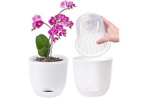 QCQHDU 2Pack Pot pour Orchidées Transparent, 14,7 Cm Pot De Fleur Intérieur, Bac À Réserve d'eau pour Plante Intérieur, Double Couche Auto-Irrigation avec Circulation d'air Optimale(Blanc Pur)