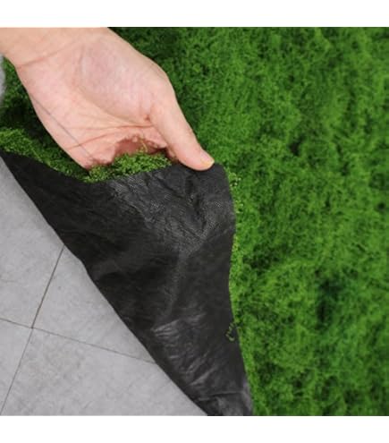 Amazon.de: HOMSFOU Knstliche Moosplatte 11.81X11.81 Zoll Pflegeleichte  Simulation Mooswand Fr Innen Wanddekoration Wohnzimmer Hochzeit Garten DIY  Pflanzenwand