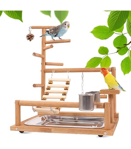 Oiseau Automate Mécanique TIM Bird - Fonctionne à L'élastique, Vole Jusqu'à 50 M - Ailes Indéchirables, à Partir De 5 Ans