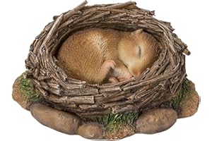 Vivid Arts Real Life NF-DM09-F - Decorazione ornamentale in resina per dormitorio del bosco addormentato nel nido